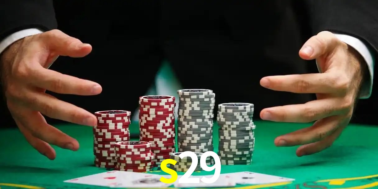 s29