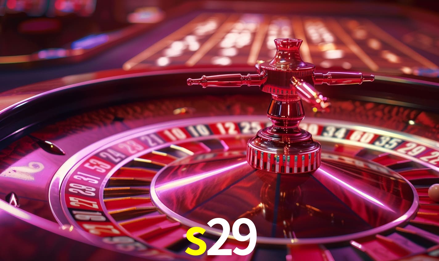 s29